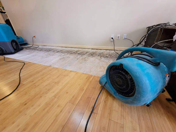 Professional Water Damage Repair technician working in Washington, IN